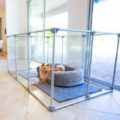 Modern Design Glass Dog Pens