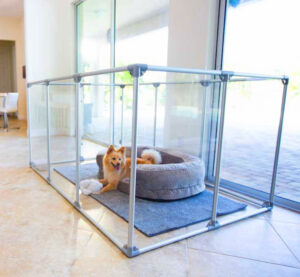 Modern Design Glass Dog Pens