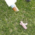 PooVak Battery Powered Dog Poop Vacuum