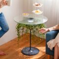 Oasis Table Displays A Hanging Plant Under A Glass Table-top