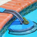 This Mini Pool Ramp Helps Frogs and Other Little Critters Get Safely Out Of Your Pool
