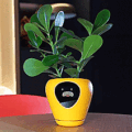 This Smart Planter Will Monitor Your Indoor Plants, and It Acts Just Like a Tamagotchi Pet