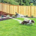 This Motion Activated Sprinkler Repeller Keeps Animals Out Of Your Garden