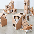 You Can Create The Ultimate Cat Playground With This Mix And Match Modular Collection