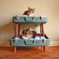This Suitcase Cat Bunk Bed Is a Brilliant Way To Re-purpose Your Old Luggage