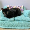 People Are Making Tiny Crochet Cat Couches, And We Can't Get Enough Of Them