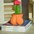 This Balls Shaped Planter Lets You Grow The Perfect Sized Cactus You've Always Dreamed Of Having