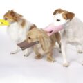 Duckbill Shaped Dog Muzzle