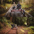 These Rail Bike Tours Let You Pedal Through The Redwood Forest In California