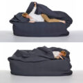A Bean Bag Bed With Built-in Blanket and Pillow