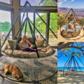 This Flying Saucer Hammock Chair Looks Like The Perfect Place To Lounge
