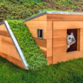 This Modern Dog House Is Made With Grass Ramp, and An Automatic Water Faucet On Top