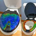 Mood Ring Toilet Seat