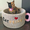 This Catfeine Coffee Mug Cat Bed Is a Must For Coffee Loving Cat Owners