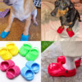 Dog Crocs Are Now A Thing, And Your Dog Probably Wants Them