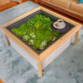 This Terrarium Coffee Table Makes The Perfect Centerpiece In Your Living Room