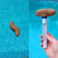 This Pool Thermometer Looks Like a Floating Poo