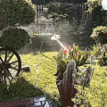 This Crazy Daisy Dancing Flower Sprinkler Is the Most Intense Way To Water Your Garden