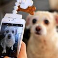 Flexy Paw Treat Holder Attaches To Your Phone For Perfect Pictures of Your Dog