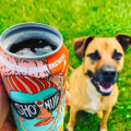 This Beer Can Top Remover Tool Lets You Enjoy Your Drink Like a Draft Beer
