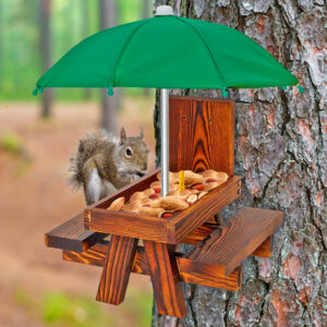 This Picnic Table Squirrel Feeder With Umbrella Is The Perfect Snacking Spot For Your Yard Squirrels