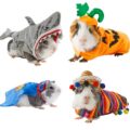 You Can Now Get Costumes For Your Hamsters For Halloween