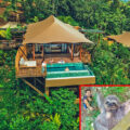 There's a Luxury Costa Rican Resort That Lets You Stay In The Rainforest and Hang Out With Sloths