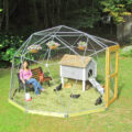 These Geodesic Domes Keep Your Chickens Safe With Plenty Of Room To Run Around