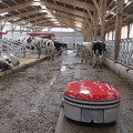 This Manure Robot Vacuum Cleans Your Barn Floors Like a Roomba