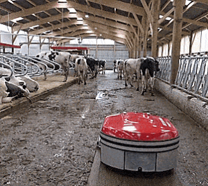 This Manure Robot Vacuum Cleans Your Barn Floors Like a Roomba