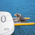 This Inflatable Dog Ramp Helps Your Pooch Get Out Of Water, Attaches To Boat, Dock, or Pool