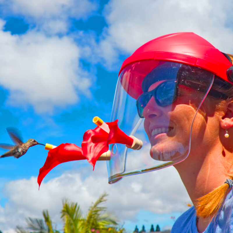 This Hummingbird Feeder Face Shield Lets You See Birds Inches From Your ...