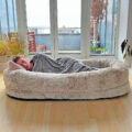â€‹This Human-Sized Dog Bed Will Take Naps to The Next Level