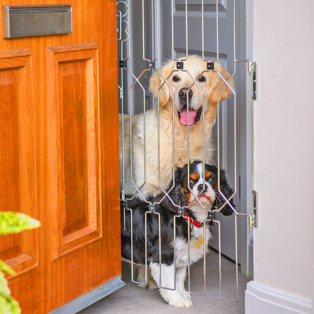 This Unique Front Door Dog Gate Prevents Your Pooch From Escaping When You Answer Door
