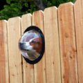 This Bubble Window For Your Fence Allows Your Dogs To Peek To The Other Side