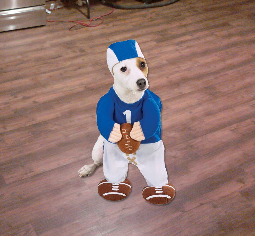 Football Player Dog Costume