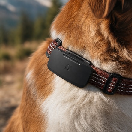Fi Ultra satellite dog tracker attached to a rugged dog collar