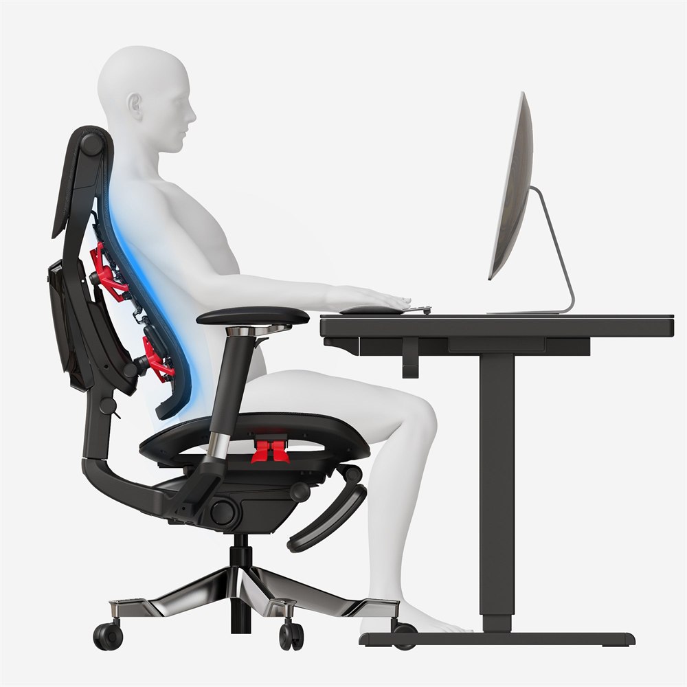 Lavenne R9 chair diagram showing full spine support at a desk
