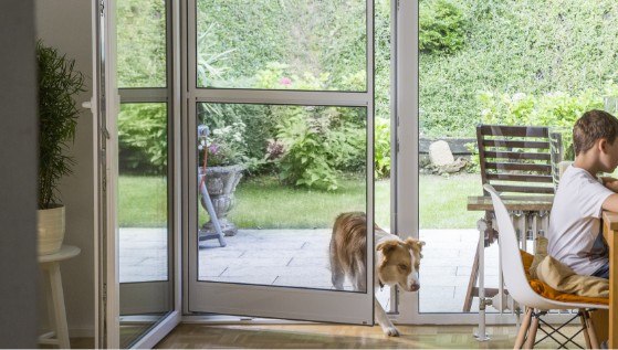 Dog passing through a Neher swing screen door at a patio entrance