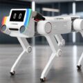 OpenMind Quadruped robot dog in a modern robotics showroom