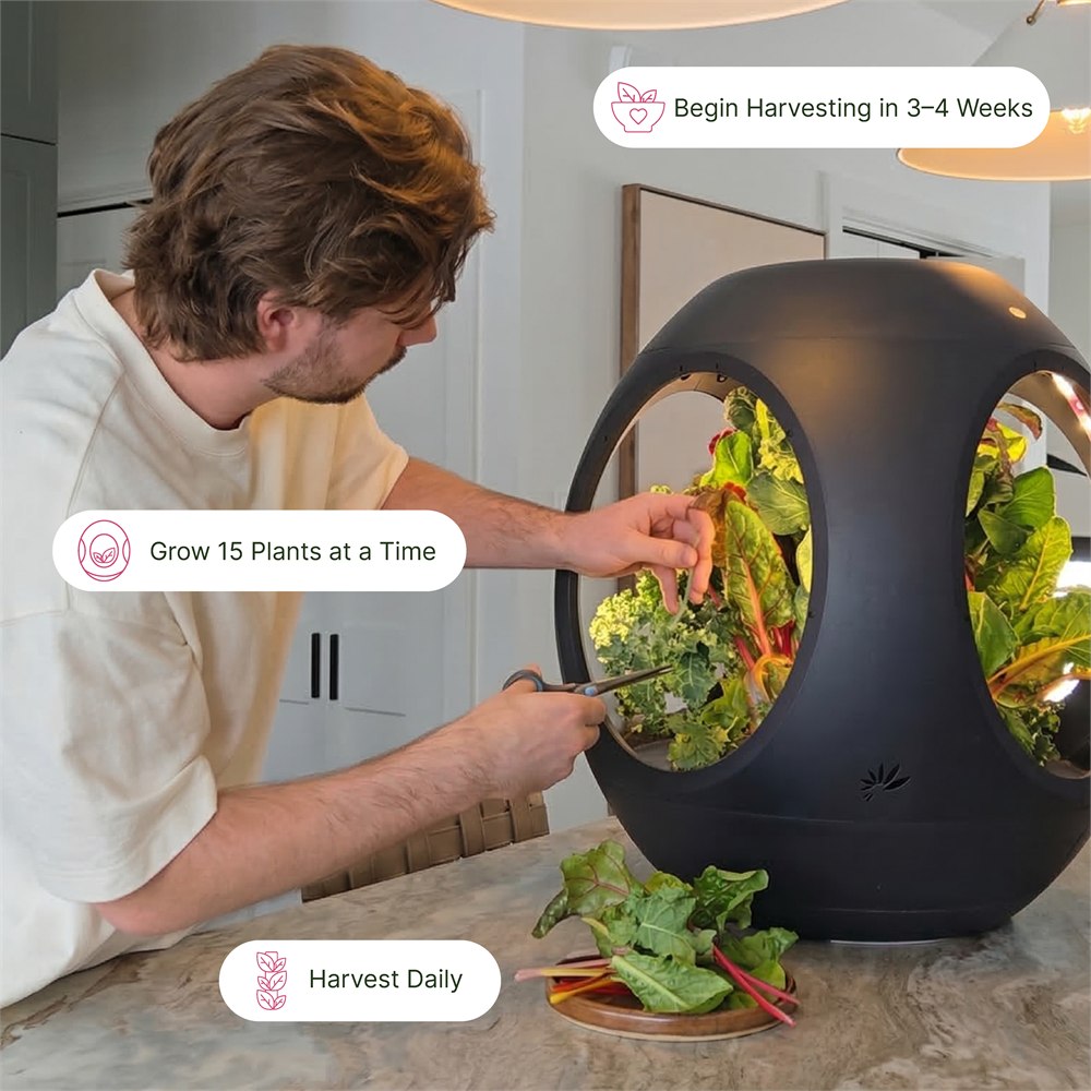Person harvesting greens from the Plantaform indoor garden