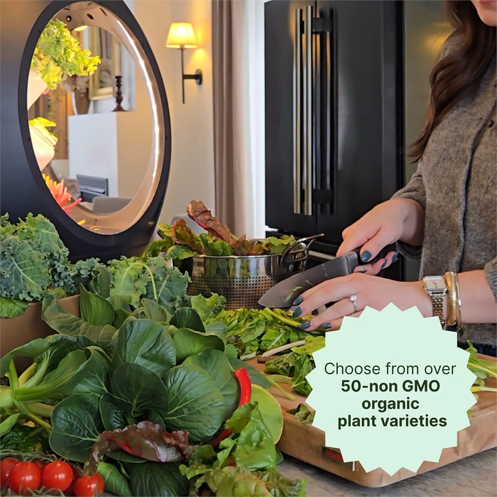 Fresh greens harvested beside the Plantaform smart indoor garden
