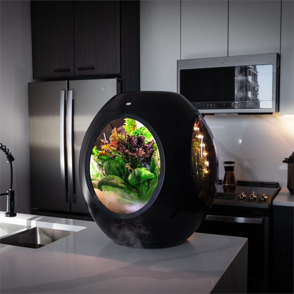 Black Plantaform indoor garden displayed in a modern kitchen
