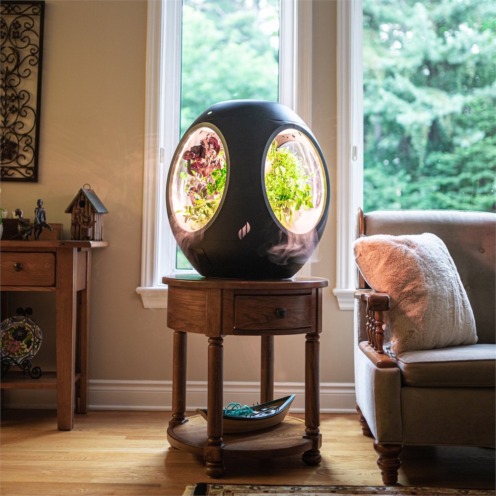 Plantaform smart indoor garden glowing with greens in a living room