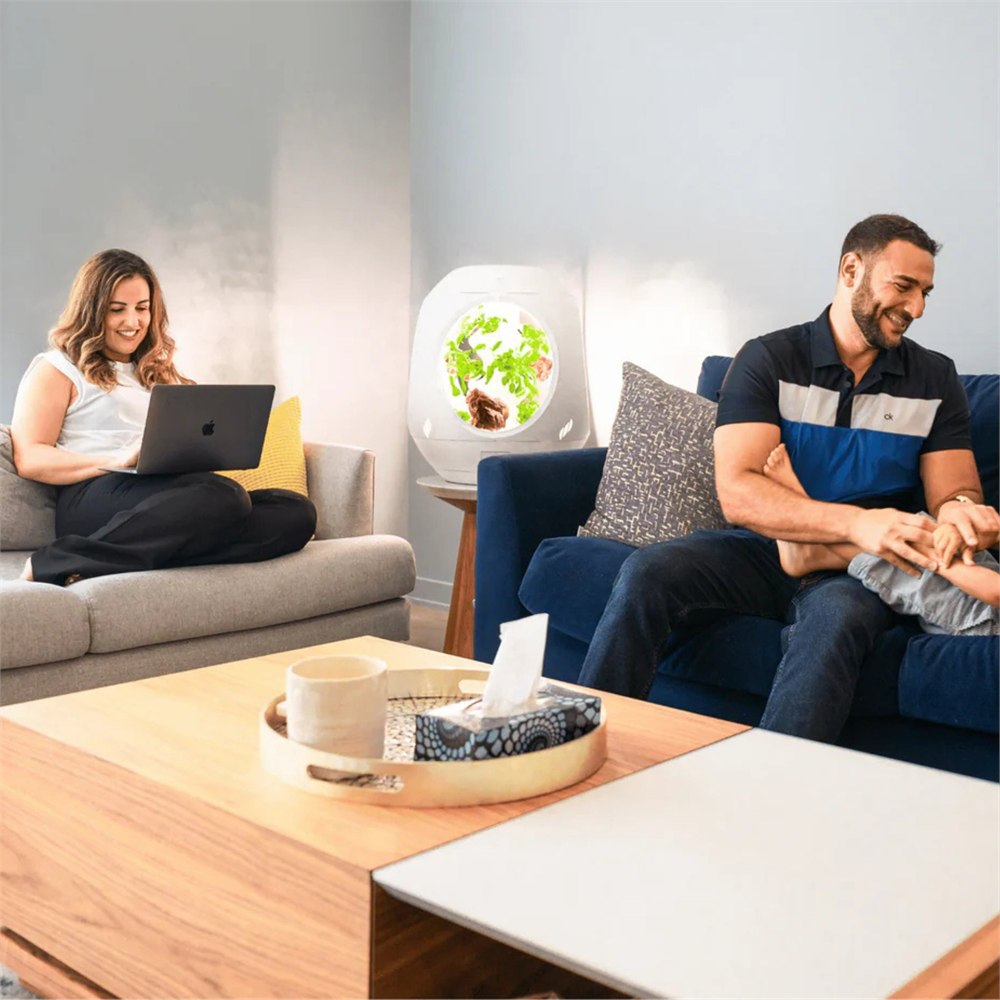 Plantaform smart indoor garden in a living room with people nearby