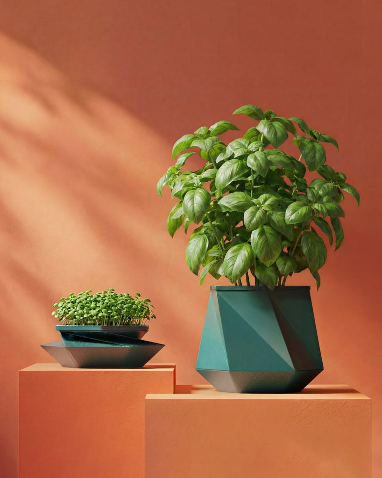 POTR Helix expanding planter with a small sprout tray and a larger herb plant in the faceted pot