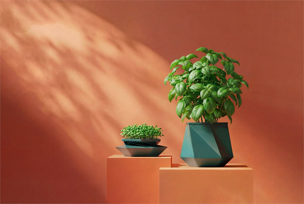 POTR Helix self-watering expanding plant pot with a herb plant and seedling tray on a warm indoor shelf