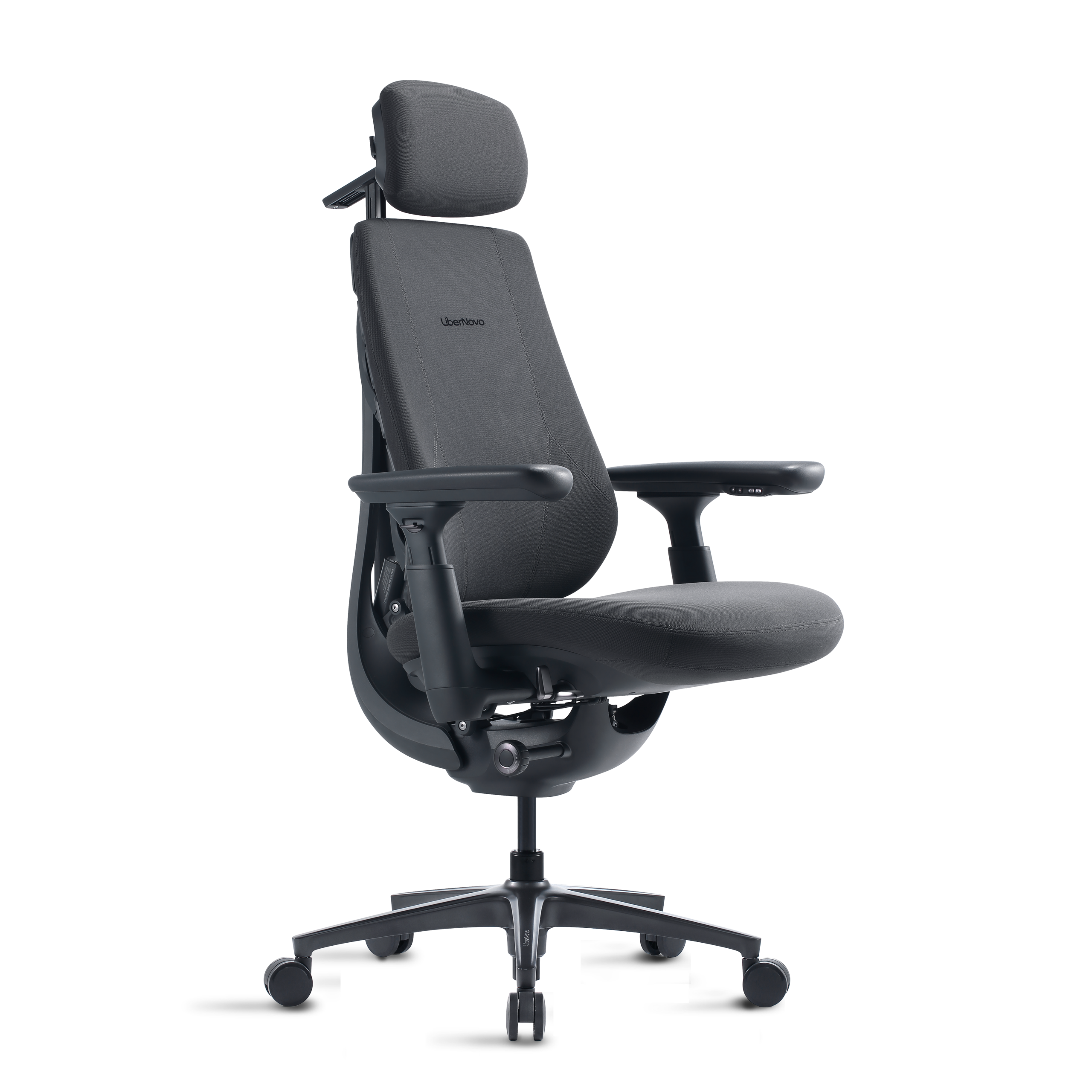 LiberNovo Maxis ergonomic chair in graphite