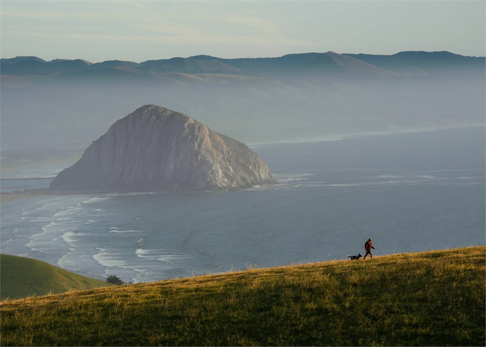 Dog and owner hiking in a remote coastal landscape with Fi Ultra tracking coverage