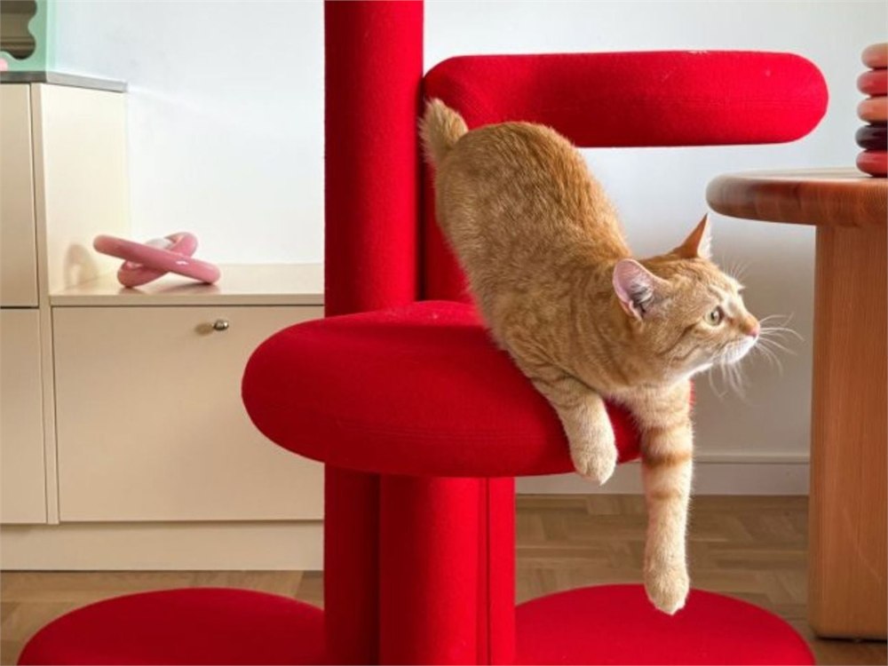 Gustaf Westman Chunky Cat Tree shown as colorful rounded designer pet furniture